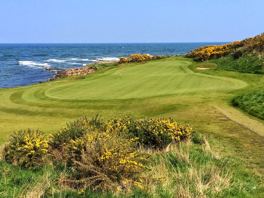 DasGrün des Signature Holes von Kingsbarns: Loch 12