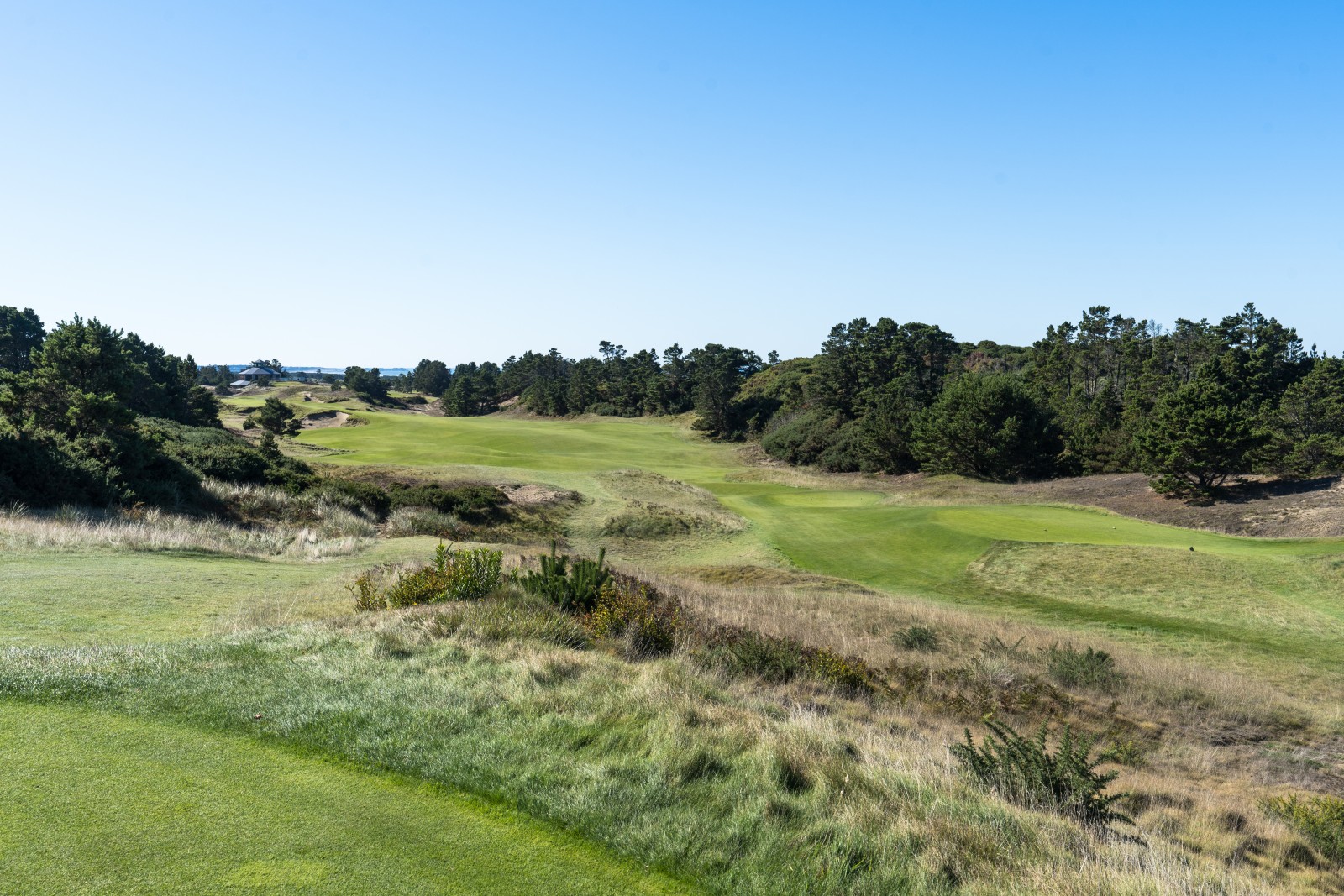 Pacific Dunes Loch 18