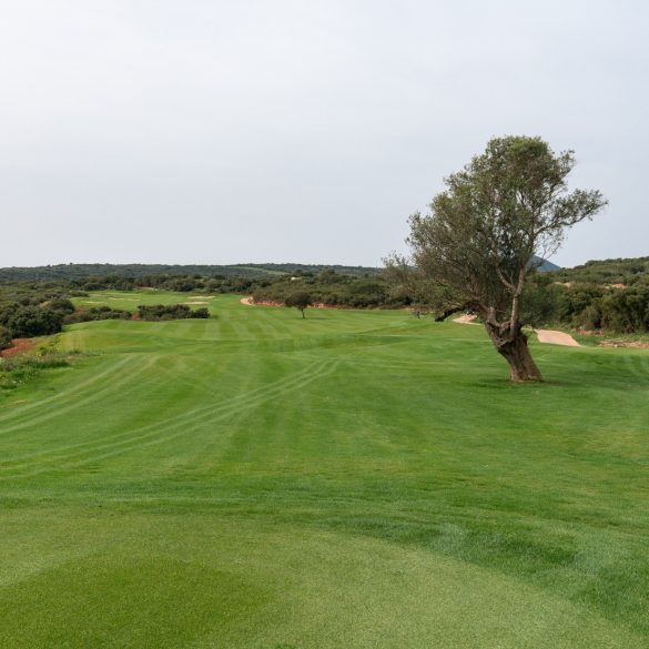 Navarino Hills Loch 11