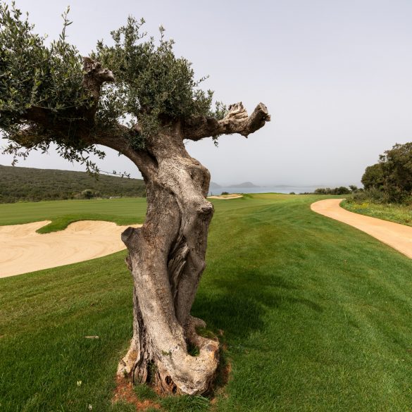 International Olympic Academy Golf Loch 10